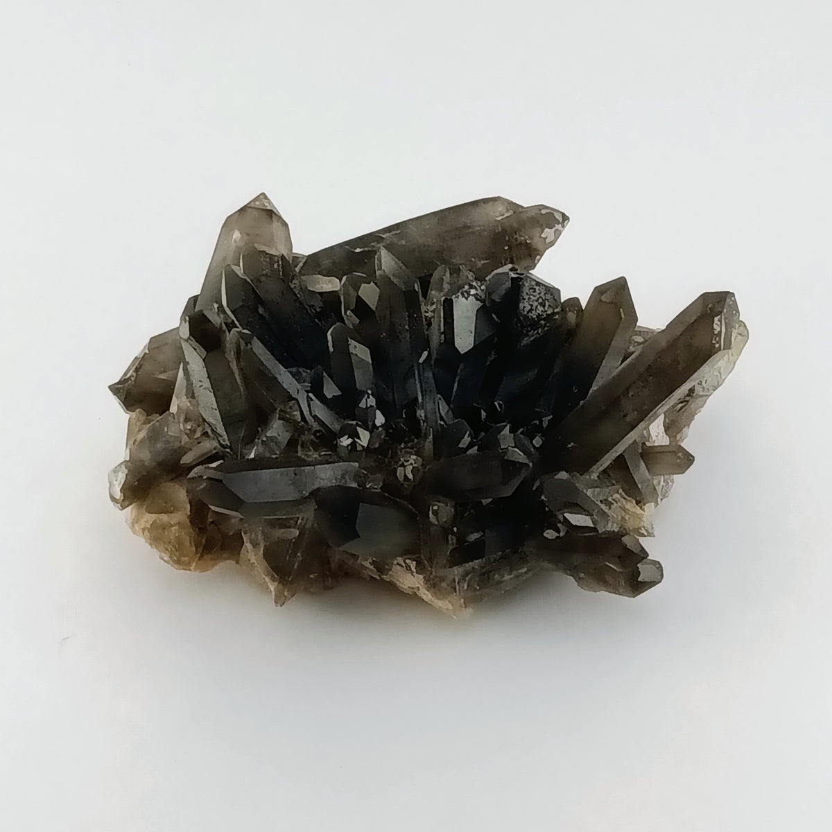 Smoky Quartz on Feldspar — Collector Cluster