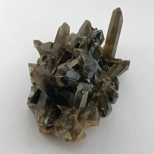 Smoky Quartz on Feldspar — Collector Cluster