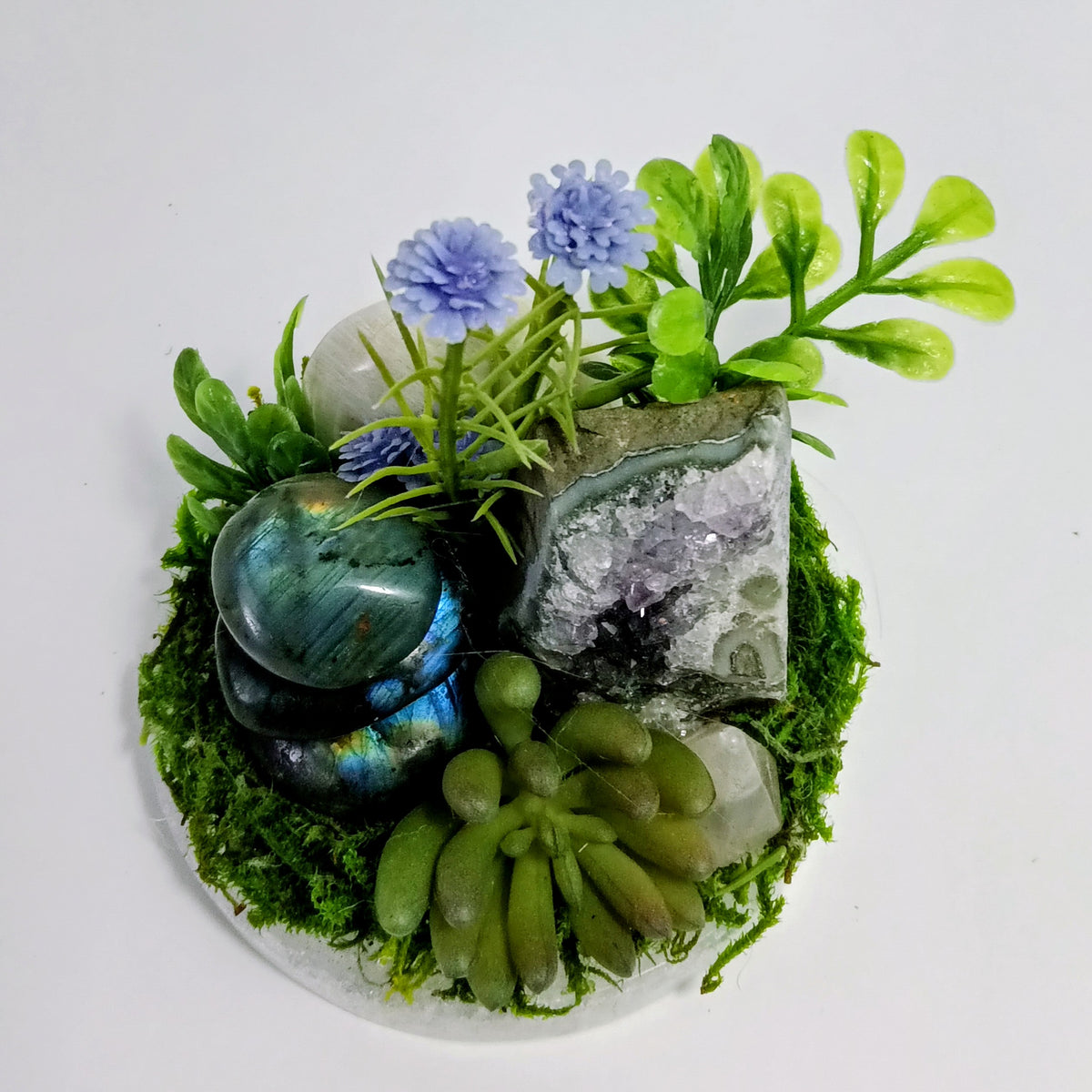 Moonlit Clarity - Crystal Garden