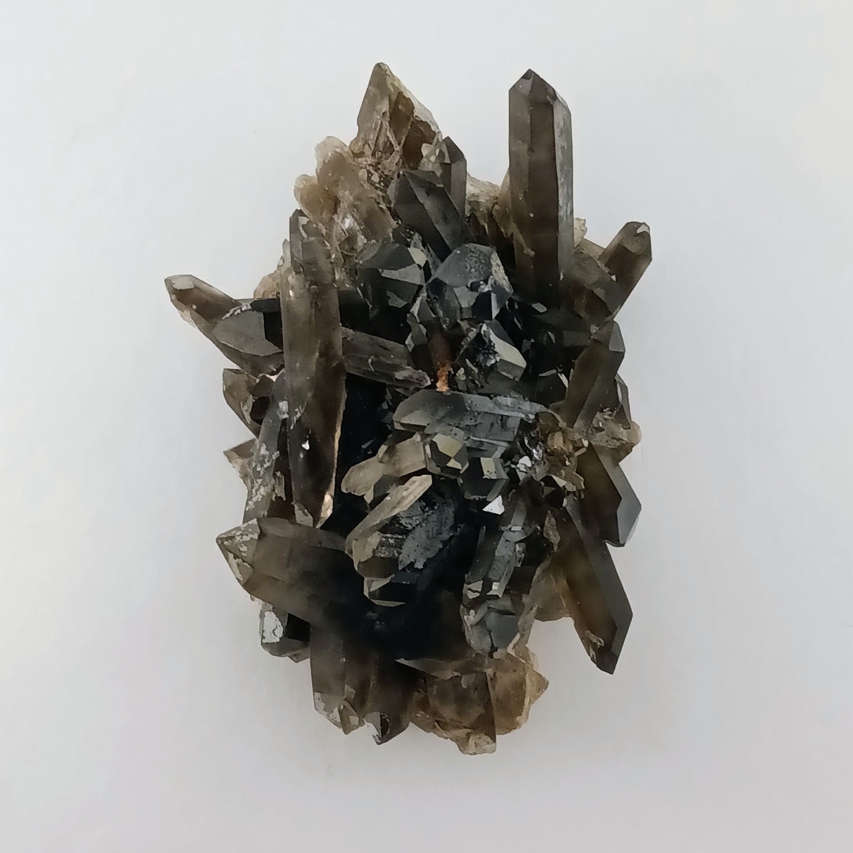Smoky Quartz on Feldspar — Collector Cluster