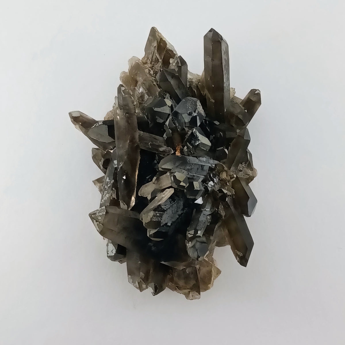 Smoky Quartz on Feldspar — Collector Cluster