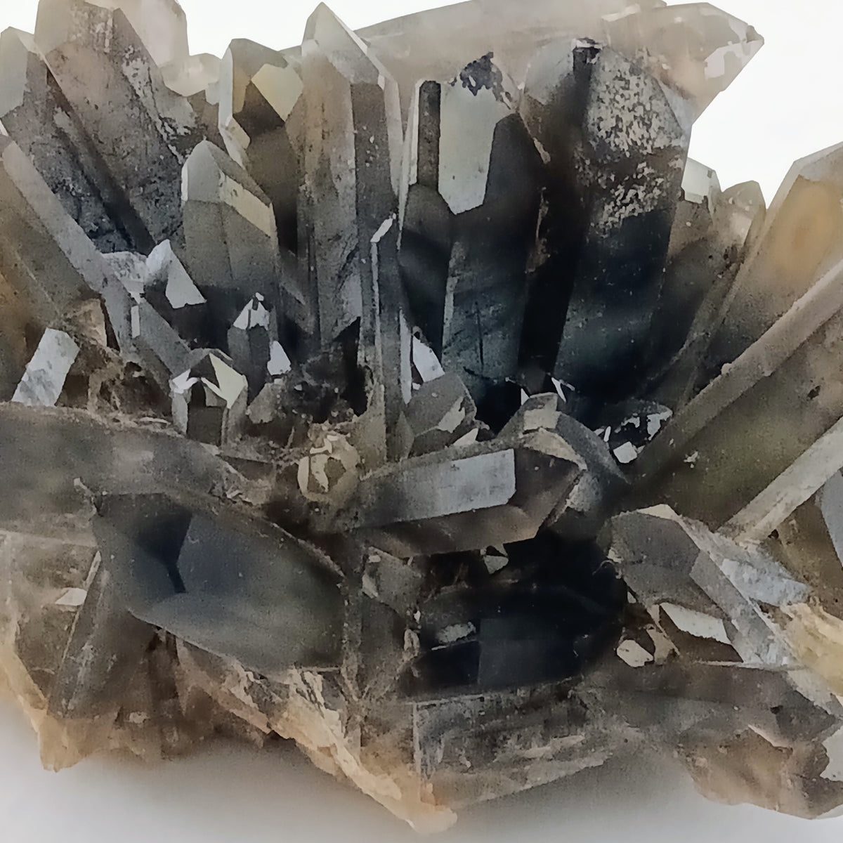 Smoky Quartz on Feldspar — Collector Cluster