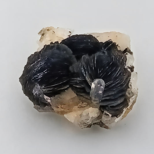 Magnetite Pseudomorphs after Hematite with Quartz — Jinlong Hill