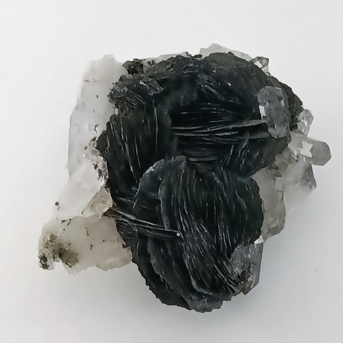 Magnetite Pseudomorphs after Hematite with Quartz — Jinlong Hill