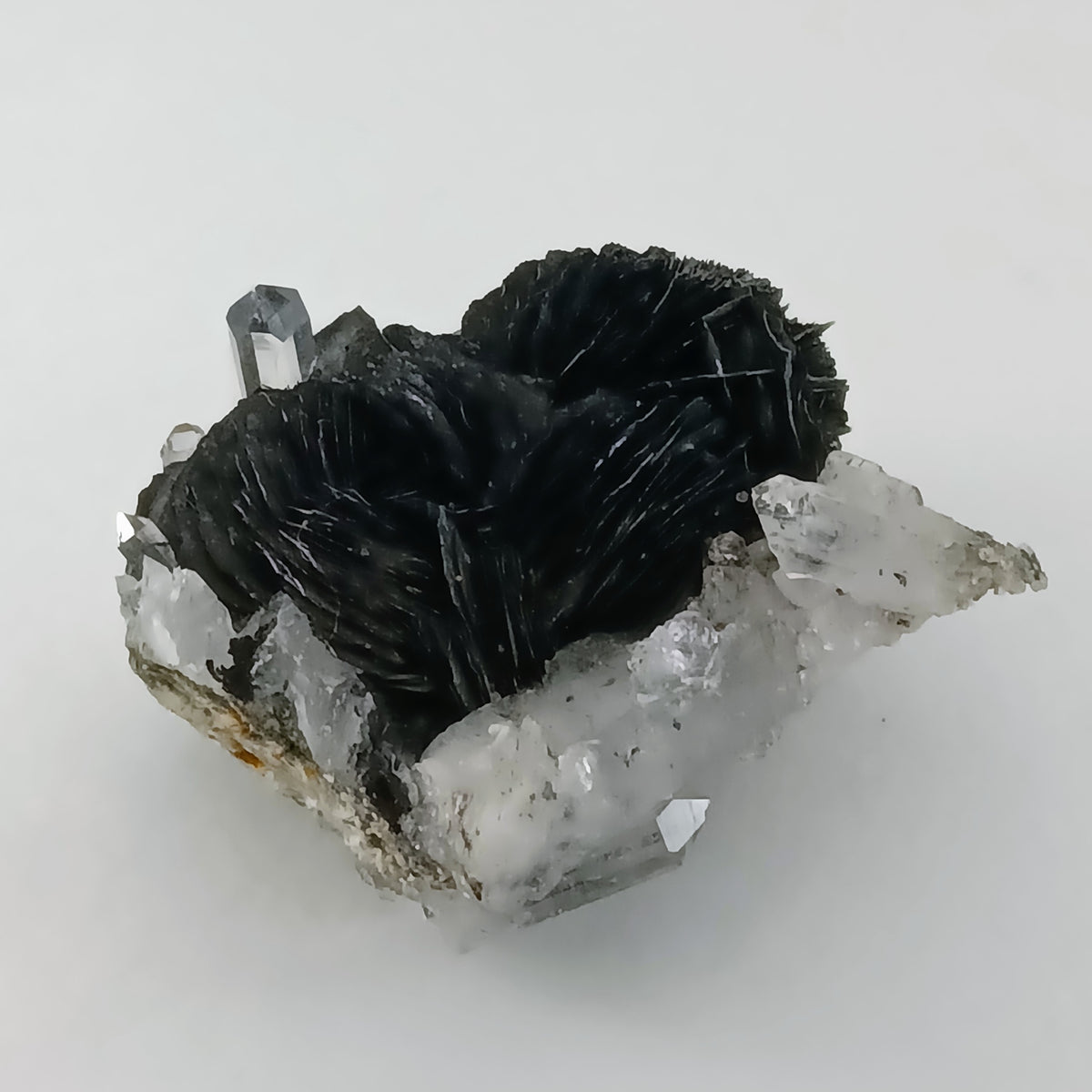Magnetite Pseudomorphs after Hematite with Quartz — Jinlong Hill