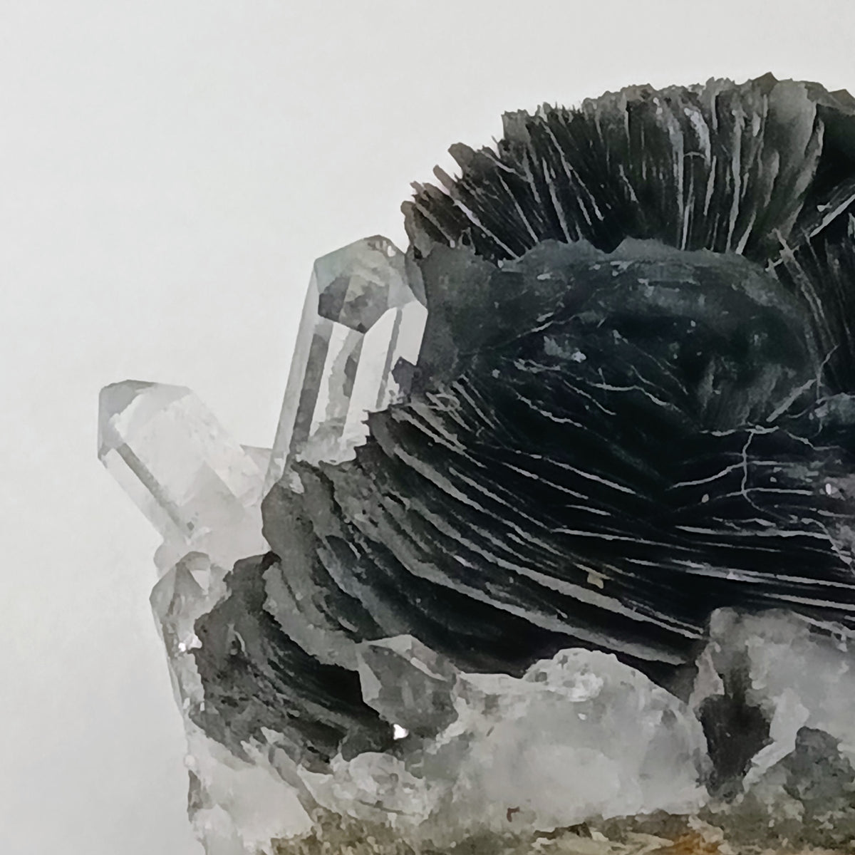 Magnetite Pseudomorphs after Hematite with Quartz — Jinlong Hill