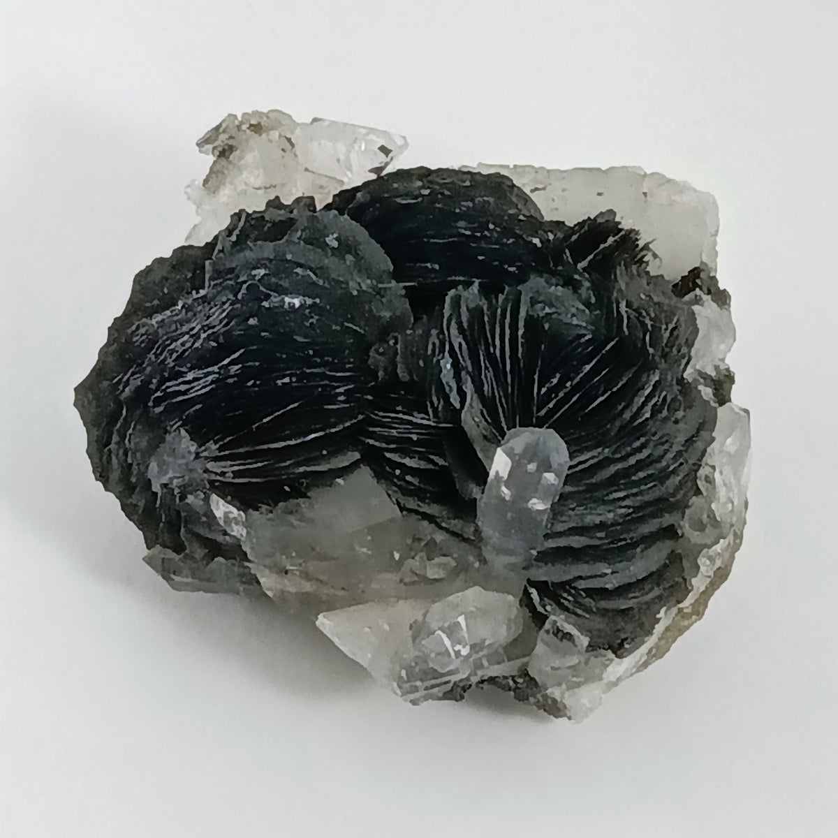 Magnetite Pseudomorphs after Hematite with Quartz — Jinlong Hill