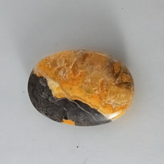 Bumblebee Jasper Palmstone