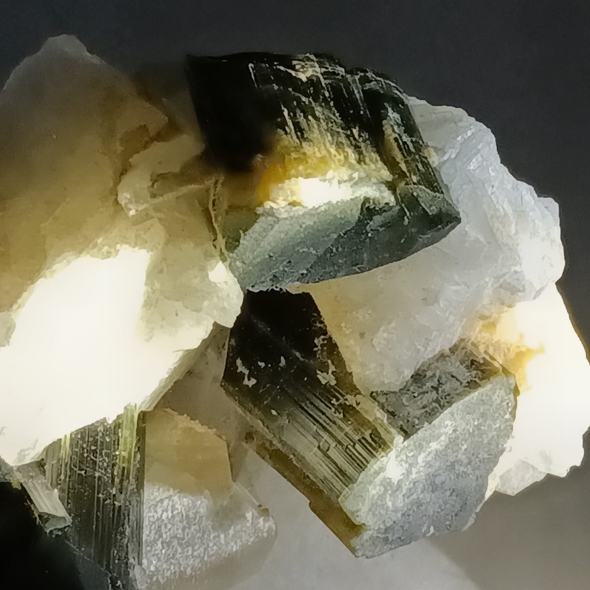 Fluorapatite, Tourmaline (Black & Green), Quartz & Cleavelandite