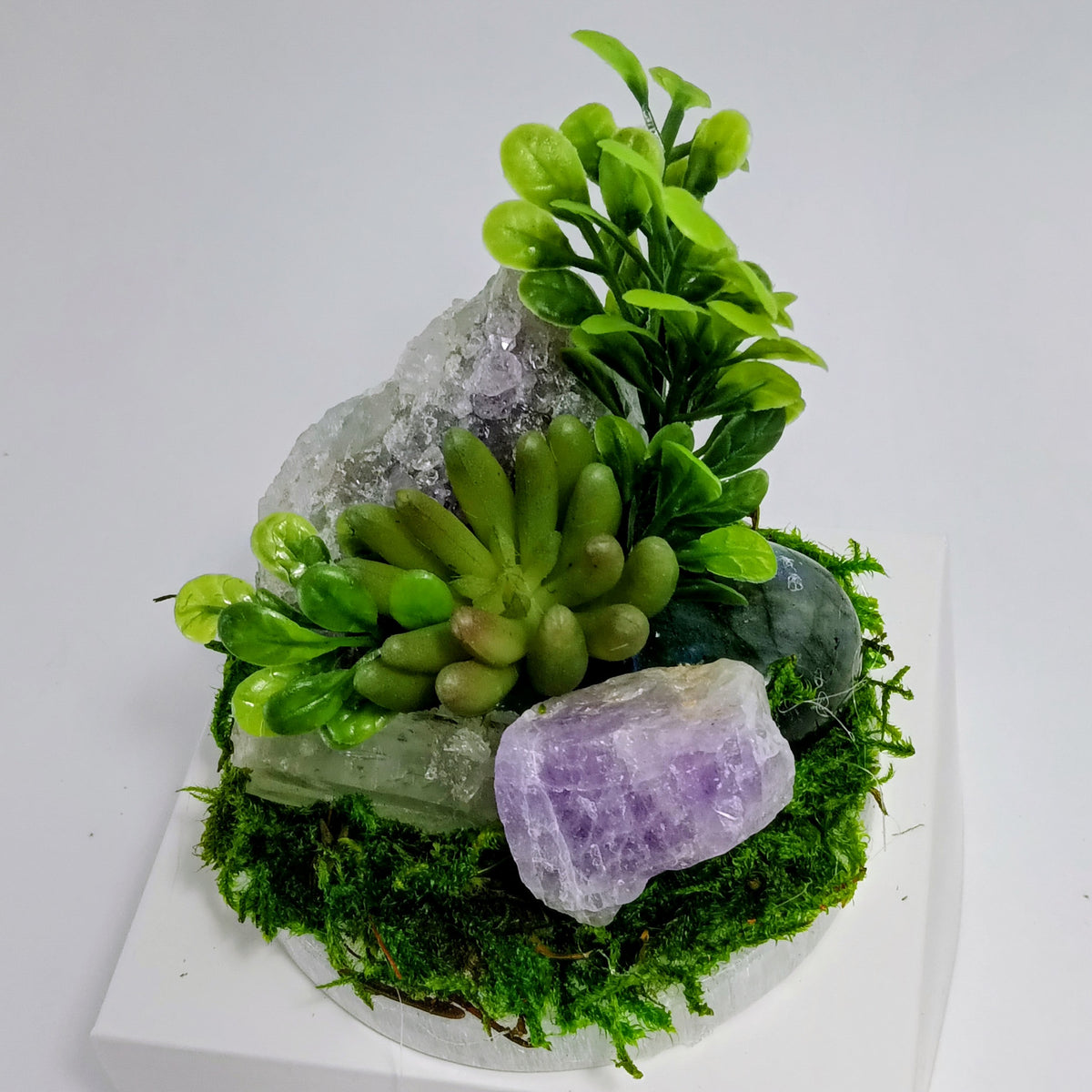 Luminous Intuition - Crystal Garden