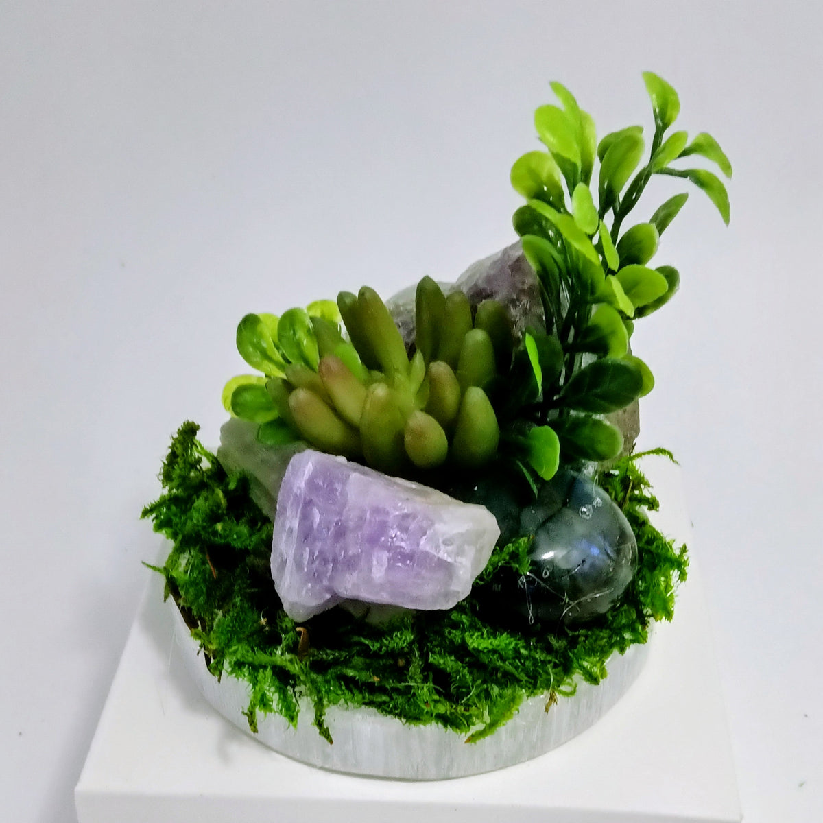 Luminous Intuition - Crystal Garden