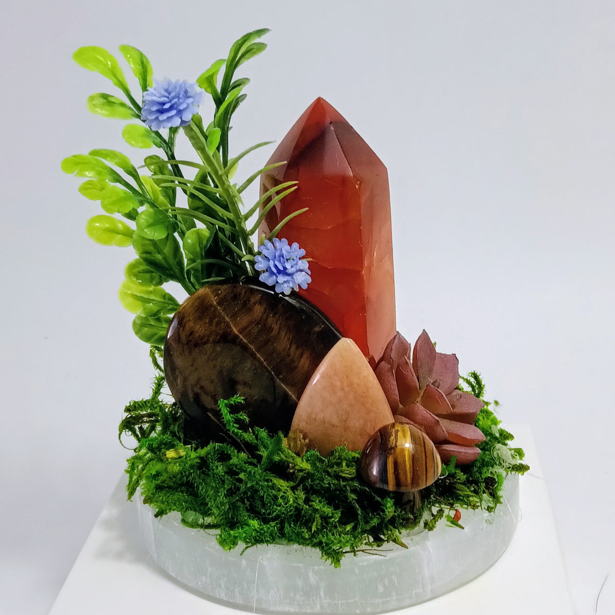 Rooted Radiance - Crystal Garden