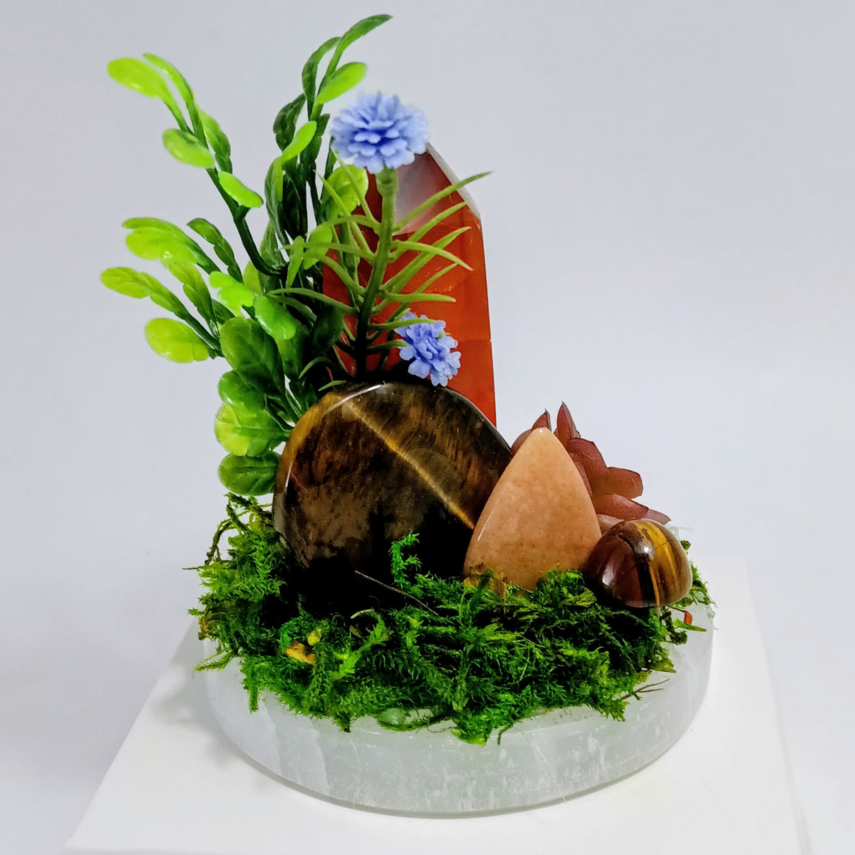 Rooted Radiance - Crystal Garden