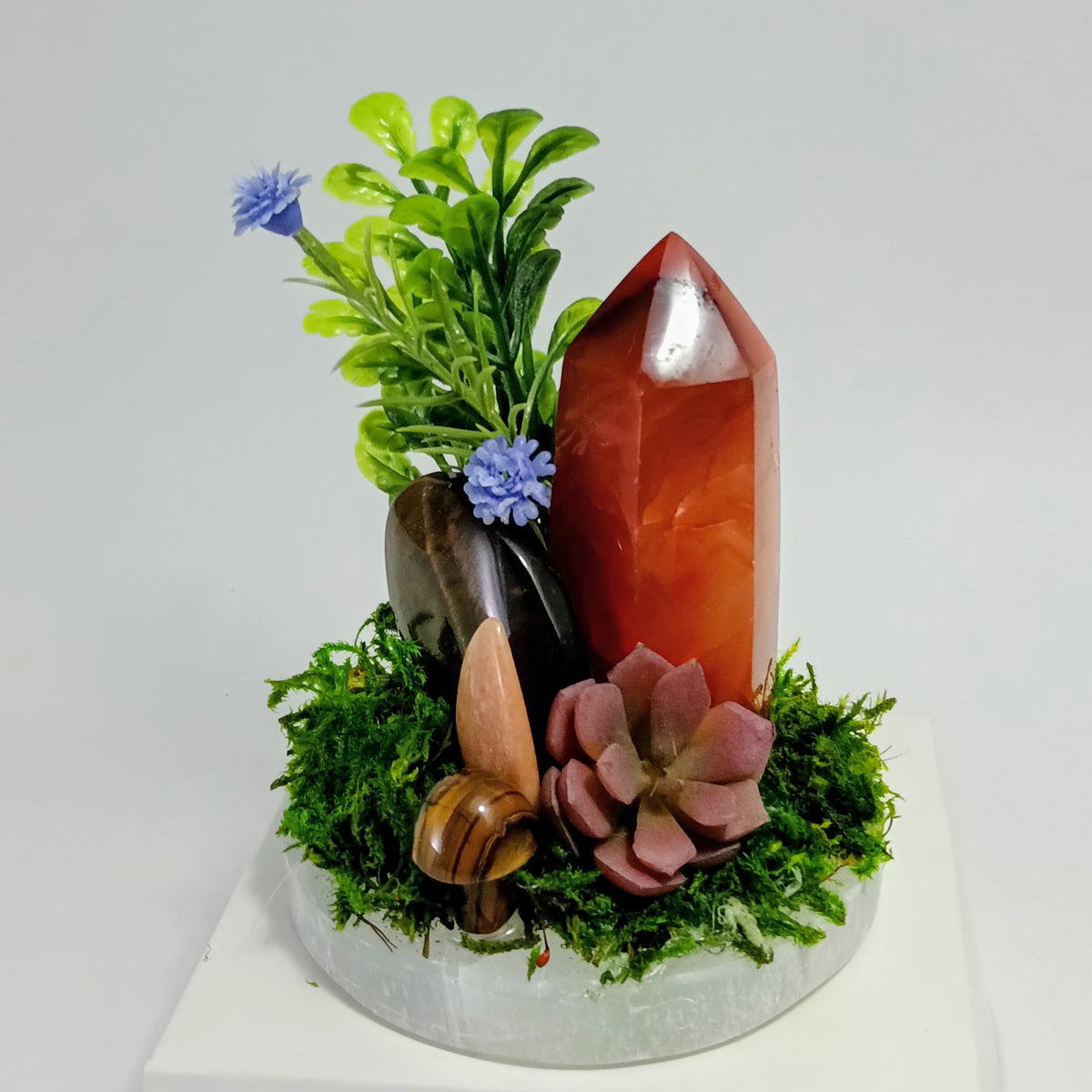 Rooted Radiance - Crystal Garden