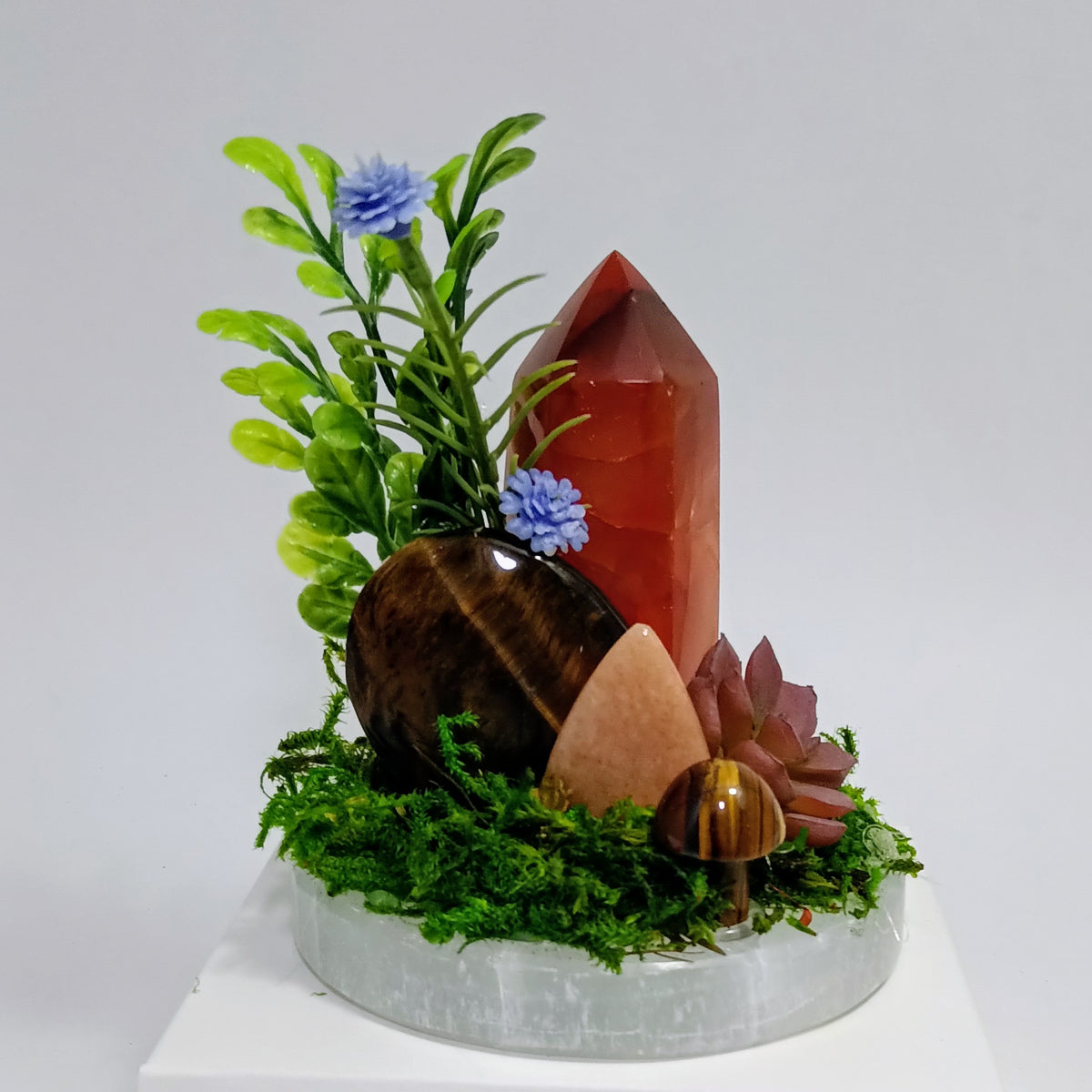 Rooted Radiance - Crystal Garden