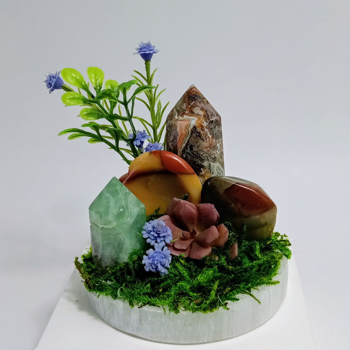 Grounded Renewal - Crystal Garden