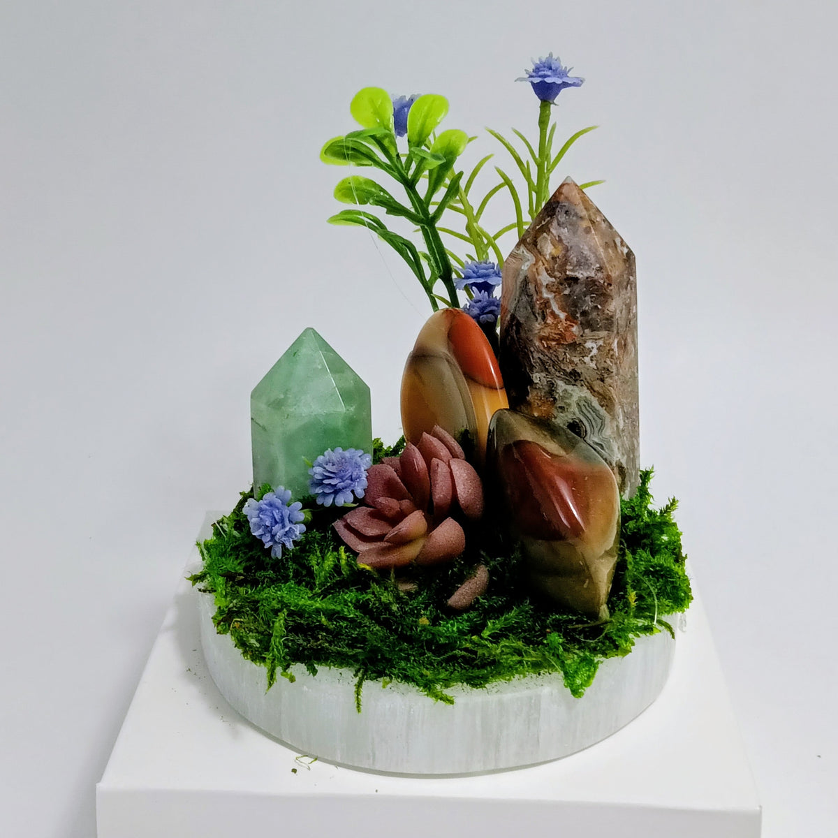 Grounded Renewal - Crystal Garden