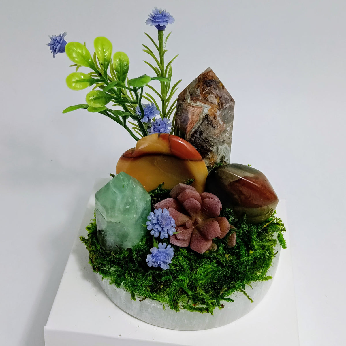 Grounded Renewal - Crystal Garden